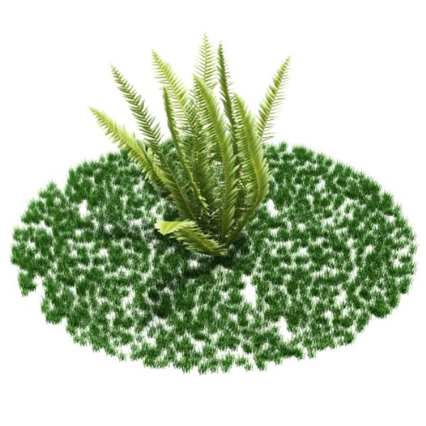 Plant 3D Model - دانلود مدل سه بعدی گیاه - آبجکت سه بعدی گیاه - دانلود آبجکت سه بعدی گیاه - دانلود مدل سه بعدی fbx - دانلود مدل سه بعدی obj -Plant 3d model free download  - Plant 3d Object - Plant OBJ 3d models - Plant FBX 3d Models - بوته - bush 